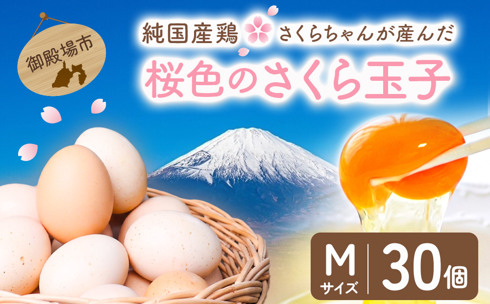 純国産鶏さくらちゃんが産んだ桜色のさくら玉子の五分咲き30個◇ | 卵 鶏卵 たまご タマゴ 生卵 たまごかけご飯 濃厚 甘み 国産 寄附額 10000 10000円 1万円 以下 以内