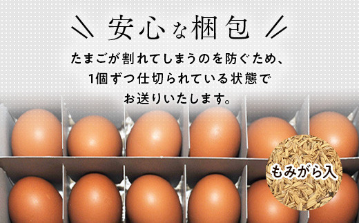 ãå®æäŸ¿6ã¶æããæ¯æ3æ¥ãš18æ¥ã«ãå±ãã埡殿ããŸã èµ€ããŸã 24åå
¥Ãæ2åïŒç Žæä¿éå«ãïŒãã¿ããå
¥ â ïœ åµ ã¿ã㎠çå ããŸãããã飯 çåµ é¶åµ åµçŒã åœç£ åŸ¡æ®¿å Žç£ â»åæµ·éã»æ²çžã»é¢å³¶ãžã®é
éäžå¯