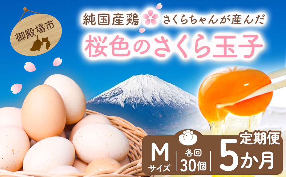 【定期便5ヵ月】純国産鶏さくらちゃんが産んだ桜色のさくら玉子 五分咲き（Mサイズ）30個 ｜ 卵 鶏卵 たまご タマゴ 生卵 たまごかけご飯 濃厚 甘み 国産