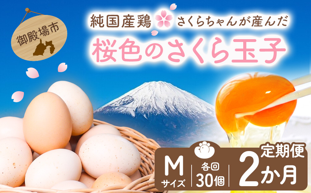 【定期便2ヵ月】純国産鶏さくらちゃんが産んだ桜色のさくら玉子 五分咲き（Mサイズ）30個 ｜ 卵 鶏卵 たまご タマゴ 生卵 たまごかけご飯 濃厚 甘み 国産