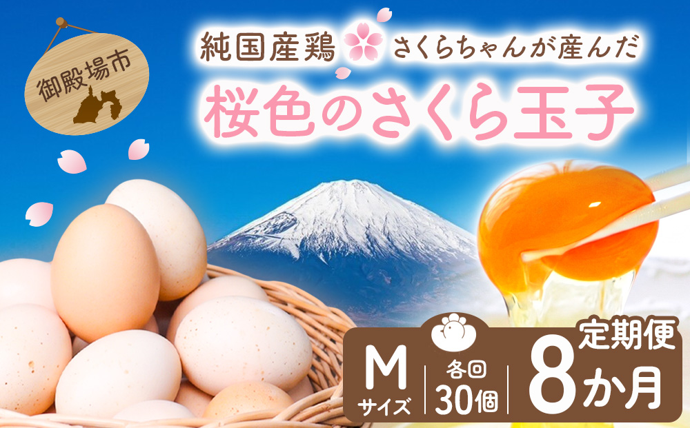 【定期便8ヵ月】純国産鶏さくらちゃんが産んだ桜色のさくら玉子 五分咲き（Mサイズ）30個 ｜ 卵 鶏卵 たまご タマゴ 生卵 たまごかけご飯 濃厚 甘み 国産