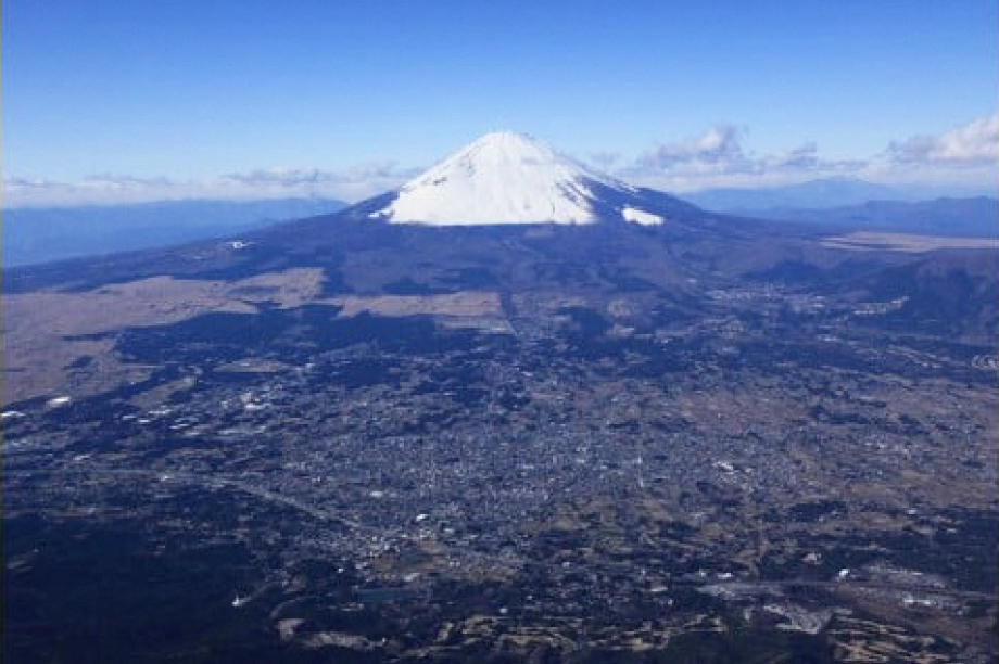 使い道は市長にまかせる