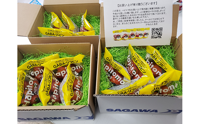 機能性表示食品 Hapitoma ハピトマ お試しセット（糖度6～10）各1袋 【配送不可：北海道・沖縄・離島】健康 ヘルシー GABA リコピン 人気 厳選 袋井市 野菜 トマト ミニトマト とまと 