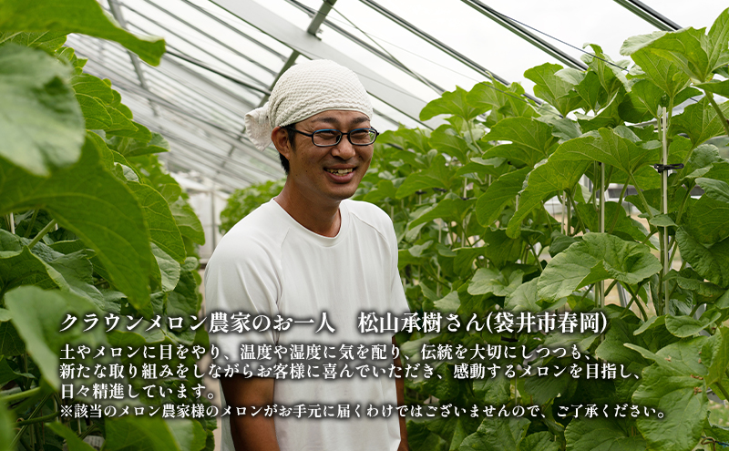 クラウンメロン【並（白等級）】中玉（1.3kg前後）3玉入り 人気 厳選 ギフト 贈り物 デザート グルメ 果物 袋井市 果物類 メロン青肉 フルーツ