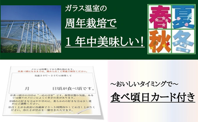 クラウンメロン”名人メロン”　3玉入　ギフト箱入り