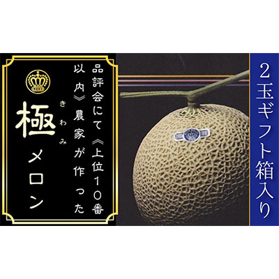 クラウンメロン（山等級）”極みメロン”　2玉入　ギフト箱入り 果物類 メロン青肉 フルーツ