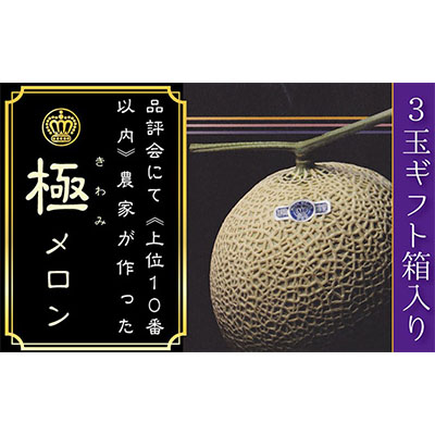 数量限定！『クラウンメロン 山等級 ”極みメロン” 3玉』 ギフト箱入 人気 厳選 ギフト 贈り物 デザート グルメ 果物 袋井市 果物類 メロン青肉 フルーツ