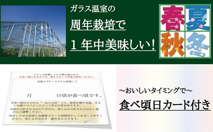 数量限定！『クラウンメロン 山等級 ”極みメロン” 3玉』 ギフト箱入 人気 厳選 ギフト 贈り物 デザート グルメ 果物 袋井市