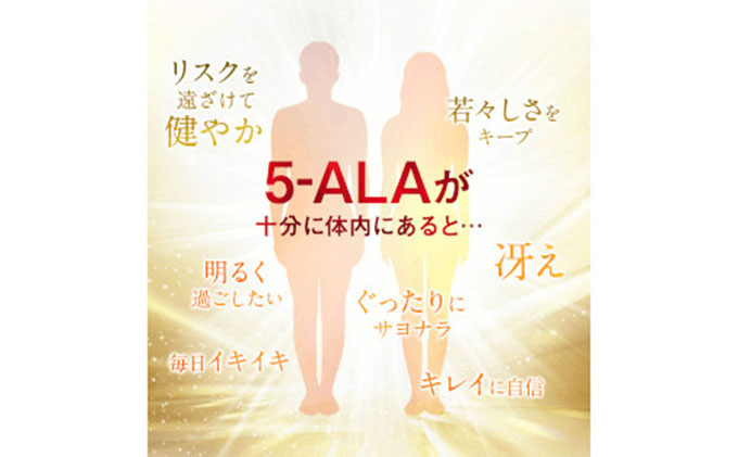 5年保証』 ふるさと納税 DHC醗酵黒セサミンプレミアム 30日分6個セット 静岡県袋井市 materialworldblog.com