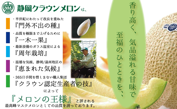 【奇数月6回定期便】クラウンメロン（白等級）1玉入 果物類 メロン青肉 フルーツ 