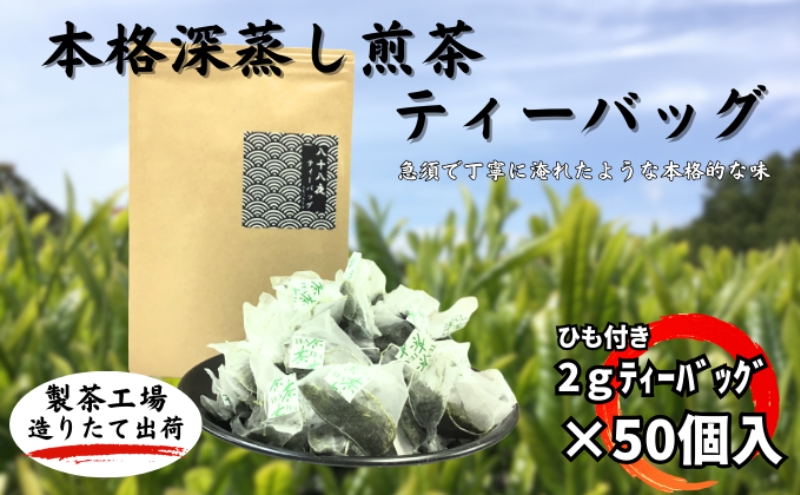 本格深蒸し煎茶ティーバッグ 大袋（2g×50個入） お茶 緑茶 