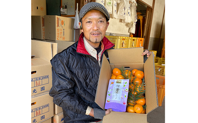 こたつみかん　静岡セット（お茶とワケありみかん約5kg）【配達不可地域あり】