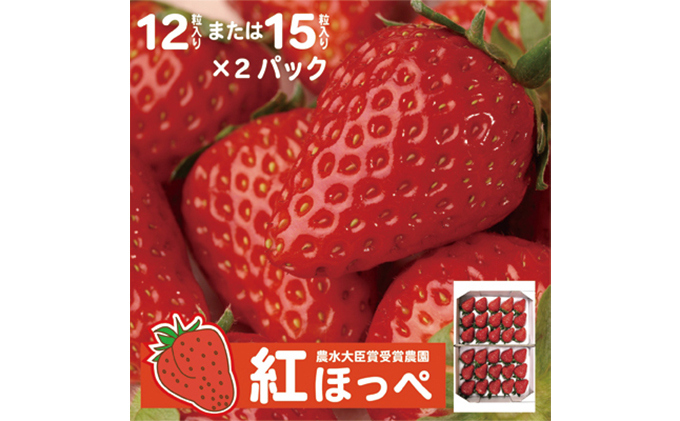 【配達地域限定】農水大臣賞受賞農園からお届け イチゴ大粒・紅ほっぺ ２パック  配送:2025年1月下旬頃より順次発送 果物類 いちご 苺 