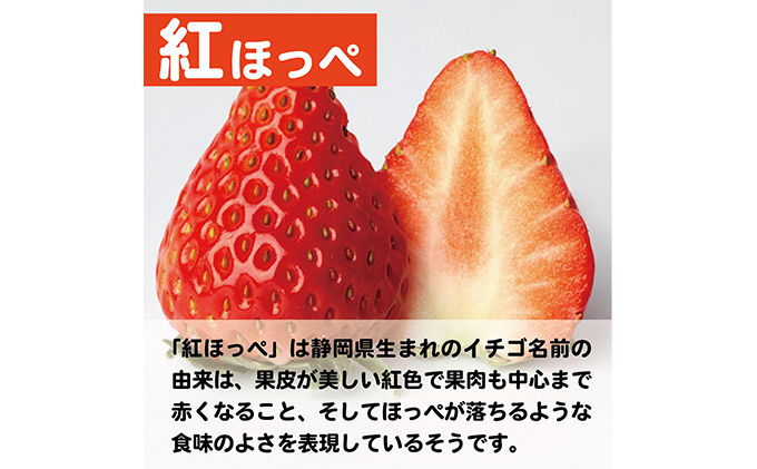 【配達地域限定】農水大臣賞受賞農園からお届け イチゴ・紅ほっぺ 4パック  配送:2025年1月下旬頃より順次発送