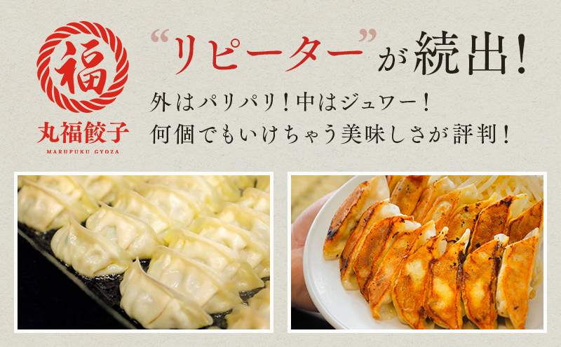 餃子 リピーター続出！ 遠州名物 丸福の餃子 タレ付き ぎょうざ ギョーザ ギョウザ 惣菜 おかず 中華 点心 加工食品 冷凍 静岡 