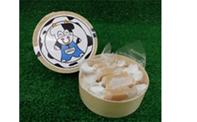 太田牧場「モータの店」アイスクリームと生キャラメルオリジナルセット MOTA デザート スイーツ おやつ ギフト 贈り物 人気 厳選 袋井市 お菓子 ミルク ストロベリーヨーグルト いちご とうもろこし 抹茶 詰め合わせ