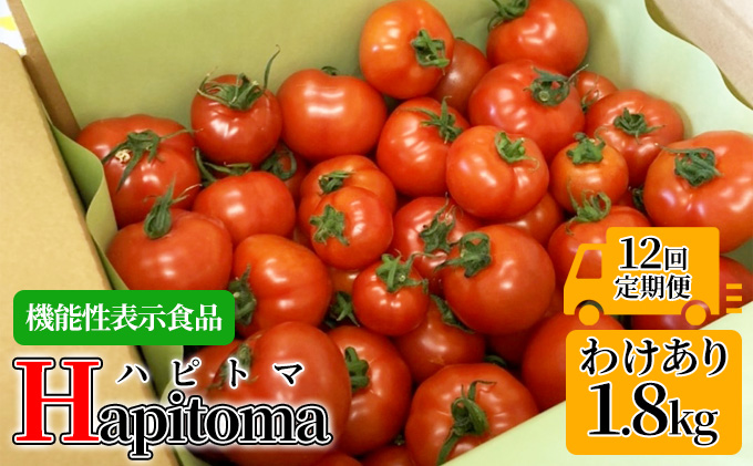 【12ヶ月定期便】機能性表示食品 Hapitoma ハピトマ 訳あり（1.8kg）【配送不可：北海道・沖縄・離島】健康 ヘルシー 人気 厳選  野菜 緑黄色野菜 産地直送 ダブル成分 GABA リコピン トマト 国産 静岡県産 袋井市産 食材 