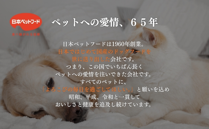 キャットフード：コンボ6種類アソート 日本ペットフード ネコ 猫 愛猫 ケア ペット えさ セット 健康 栄養  猫用 厳選素材 ドライフード おやつ 毛玉 口臭ケア 腎臓の健康維持 下部尿路の健康維持 