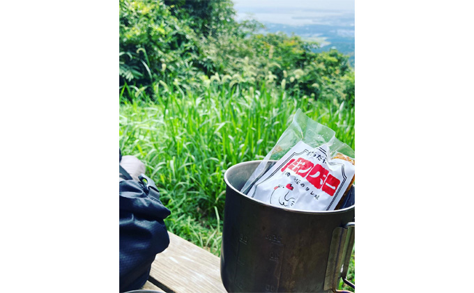 てらだやチキンバー 10本入り×８パックセット 手羽先 おかず お酒 贈り物 ギフト キャンプ アウトドア キャンプ飯 保存食 非常食 鶏 人気 厳選 袋井市 お肉 鶏肉 手羽揚げ 惣菜 肉料理 おやつ つまみ 美味鶏 お弁当