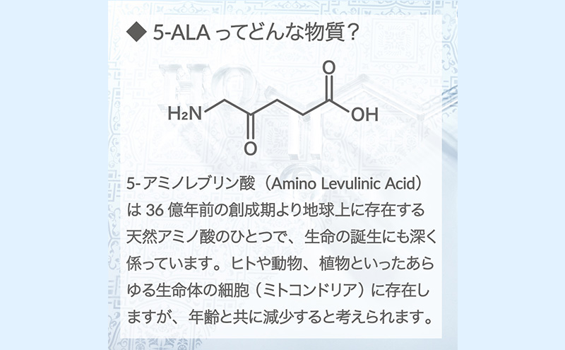 アラヴァイタル（5-ALAサプリメント）30粒入り おまとめ2個セット 健康食品 アミノ酸 健康 ヘルシー  美容 人気 厳選  袋井市 加工食品 天然アミノ酸 亜鉛 鉄 ナイアシン ビオチン 栄養補給食品 