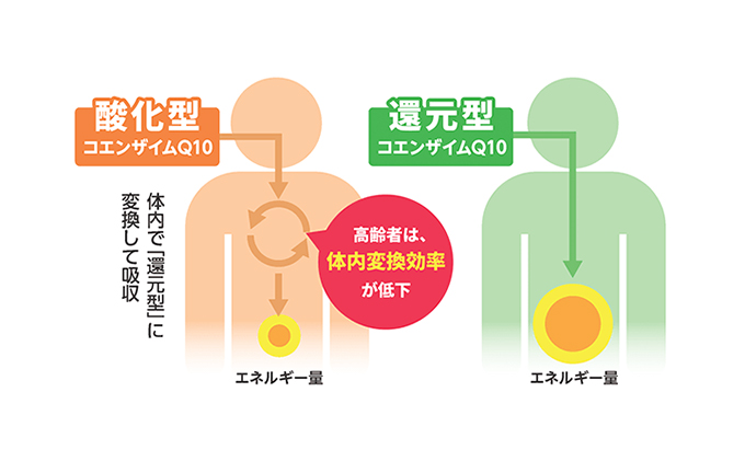 機能性表示食品＞DHC コエンザイムQ10還元型 30日分|JALふるさと納税