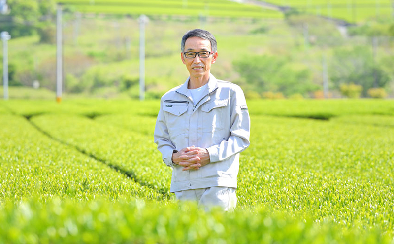 世界緑茶コンテスト銀賞受賞茶【オクミドリ】100g×3袋 お茶 煎茶 おくみどり 世界緑茶コンテスト受賞 静岡県産 松田農園 JAS有機認証圃場 まろやかな味 さわやかな香り 贈り物 無農薬