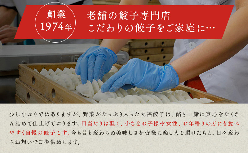 丸福餃子　4種詰め合わせ 夕飯 晩御飯 惣菜 つまみ おかず お酒のお供 冷凍餃子 冷凍 冷凍惣菜 