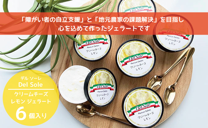 デルソーレ　ジェラート★クリームチーズレモン★6個　農福 お菓子 スイーツ ひんやりスイーツ デザート 食後 おやつ アイス 地元食材使用 レモンジェラート フルーツジェラート