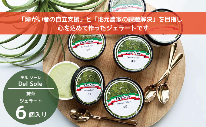 デルソーレ　ジェラート★抹茶★6個　農福 お菓子 スイーツ ひんやりスイーツ デザート 食後 おやつ アイス 地元食材使用 抹茶ジェラート