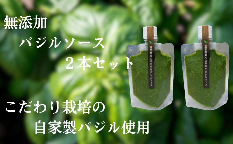 温室野菜 sano 生バジルソース２本セット 加工食品 ソース 