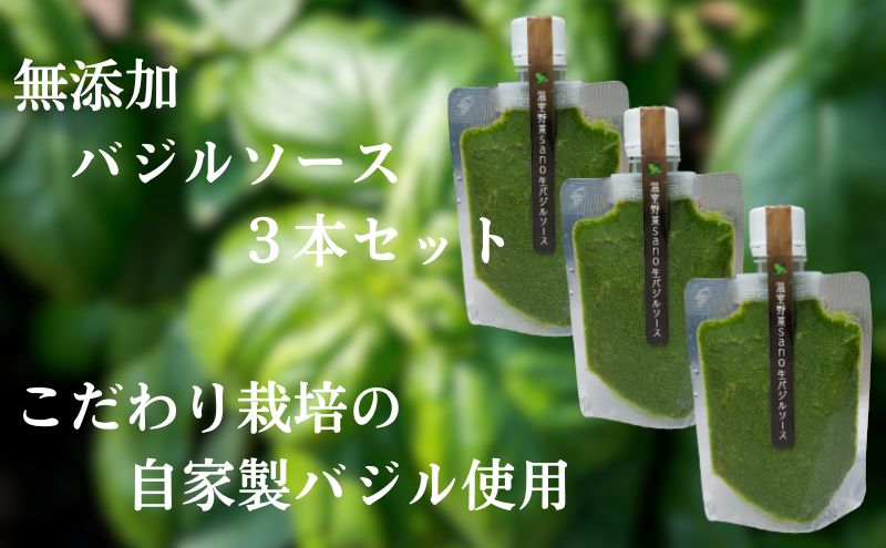 温室野菜 sano 生バジルソース３本セット 加工食品 ソース 