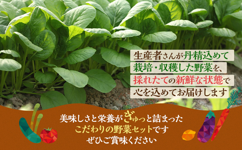 とれたて 野菜 パック 定期便 3回 季節の野菜 セット 詰め合わせ 8品前後 野菜セット 野菜詰め合わせ 3ヶ月 ジャガイモ 人参 大根 小松菜 白ネギ グリーンリーフ チンゲン菜 椎茸 トマト 水菜 葉ネギ 人気 厳選 静岡県