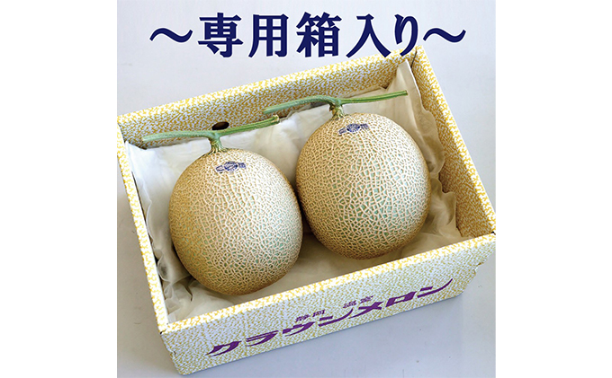 【3ヶ月定期便】クラウンメロン　規格外特大玉（約1.7kg）2玉入 果物類 メロン青肉 
