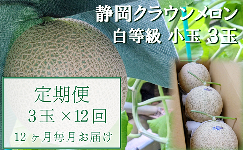 【12か月定期便】クラウンメロン【並(白等級)】小玉(1.1kg前後)3玉入り 果物 メロン青肉 フルーツ デザート 高級メロンブランド 高級メロン ブランドメロン 