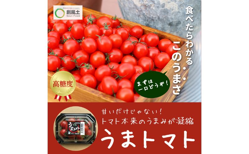 うまトマト　1kg 野菜 甘さ 酸味 糖度８度以上 高糖度 ミニトマト お弁当 サラダ おやつ 濃厚 付け合わせ 緑黄色野菜 赤い野菜 