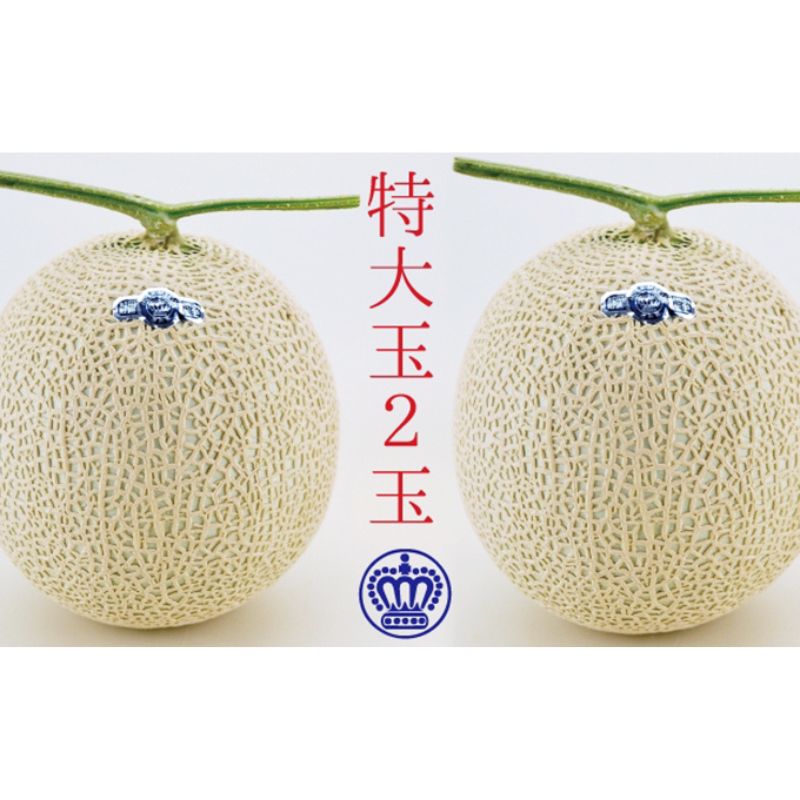 クラウンメロン（白等級）特大玉 ２玉入 果物類 メロン青肉