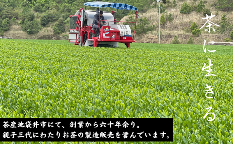 特選　深蒸し煎茶《匠》（100g×3）緑茶 深蒸し茶 日本茶 お茶 茶 茶葉 お茶の葉 煎茶 深蒸し 深蒸し緑茶 高級 静岡 静岡県産 10000円 10000 産地直送 飲料 飲み物 静岡県 袋井市