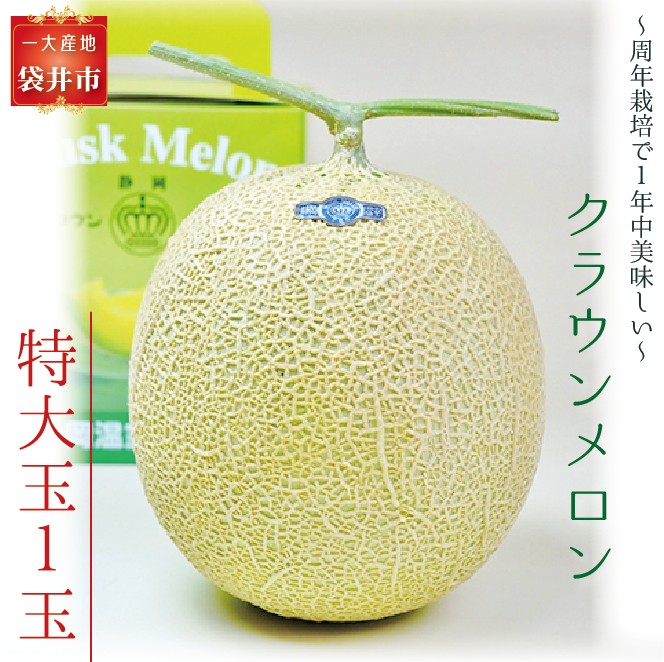 クラウンメロン（白等級）特大玉 １玉入