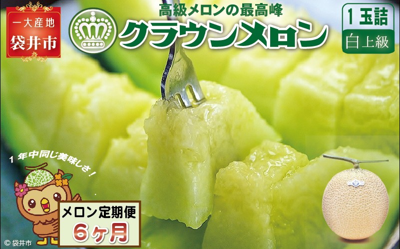 【６ヶ月定期便】クラウンメロン（白上級）１玉入 