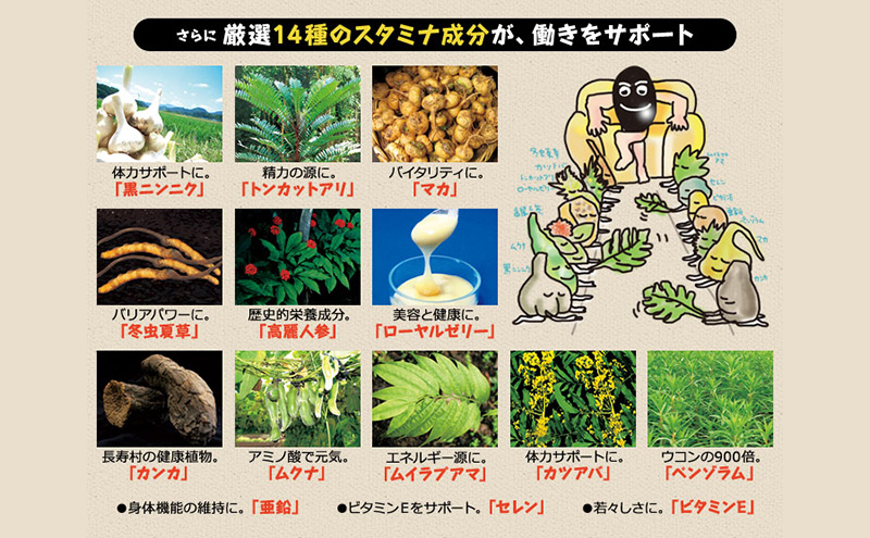 DHCéé
µé»ã»ãµãã³+ã¹ã¿ãã30æ¥å 6å(180æ¥å)ã»ãã