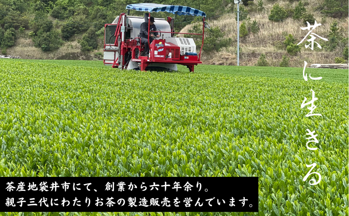 ハリオ「茶茶急須」・特選　深蒸し上煎茶《翠》と八十八夜ティーバッグ