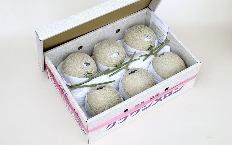 クラウンメロン（白等級）６玉入 果物類 メロン青肉 