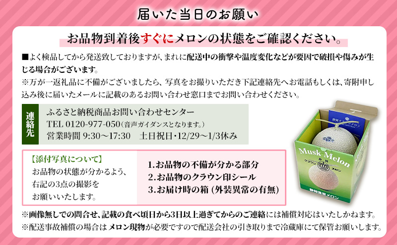 【12ヶ月定期便】クラウンメロン（山等級）1玉入 