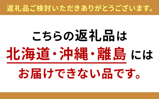 WORKSTUDIO デスク DD-153DA バルバーニ リモートワーク 在宅 テレワーク パソコンデスク 学習机 抗菌 ワークデスク 収納 書斎 静岡 袋井市