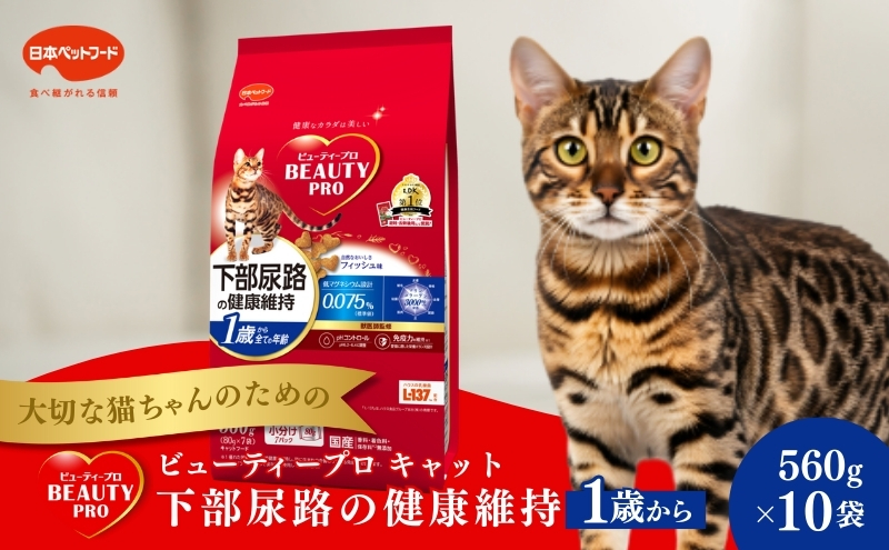 日本ペットフード ビューティープロ キャット 下部尿路の健康維持 1歳から 560g（80g×7袋入）×10袋（ケース） キャットフード