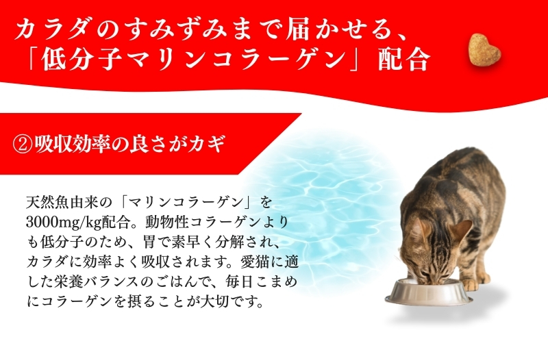 日本ペットフード ビューティープロ キャット 避妊・去勢後用 1.4kg（280g×5袋入）×8袋（ケース） キャットフード