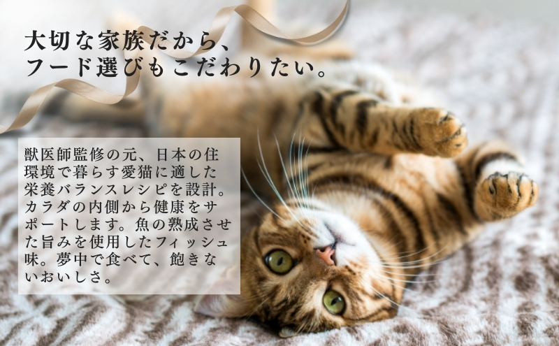 æ¥æ¬ãããããŒã ãã¥ãŒãã£ãŒãã ãã£ãã äžéšå°¿è·¯ã®å¥åº·ç¶æ 1æ³ãã 560gïŒ80gÃ7è¢å
¥ïŒÃ10è¢ïŒã±ãŒã¹ïŒ ãã£ããããŒã