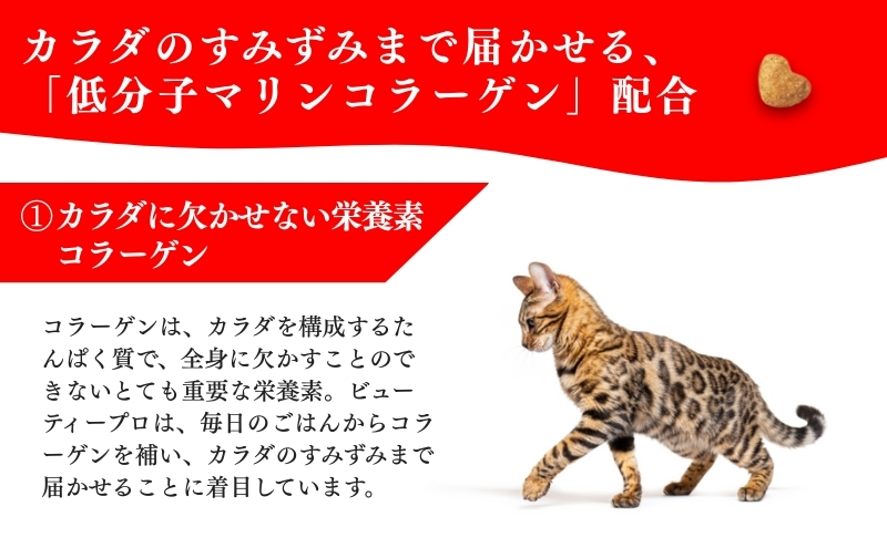 日本ペットフード ビューティープロ キャット 下部尿路の健康維持 低脂肪 1歳から 1.4kg（280g×5袋入）×8袋（ケース） キャットフード