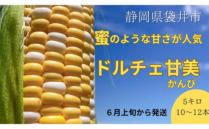 【 先行予約 】リピーター続出！ とうもろこし 【 ドルチェ甘美 】約5kg 10～12本 トウモロコシ 甘い 野菜 採れたて 朝採り 農家直送 袋井市 静岡県