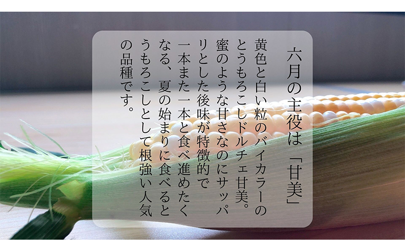 【 先行予約 】リピーター続出！ とうもろこし 【 ドルチェ甘美 】約5kg 10～12本 トウモロコシ 甘い 野菜 採れたて 朝採り 農家直送 袋井市 静岡県